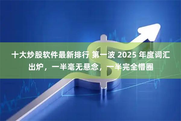十大炒股软件最新排行 第一波 2025 年度词汇出炉，一半毫无悬念，一半完全懵圈