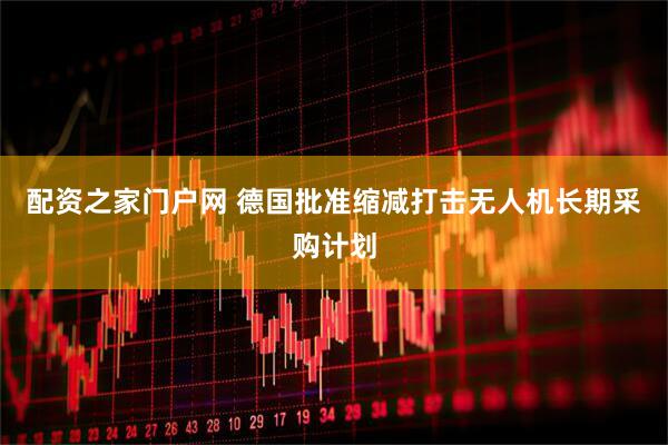 配资之家门户网 德国批准缩减打击无人机长期采购计划